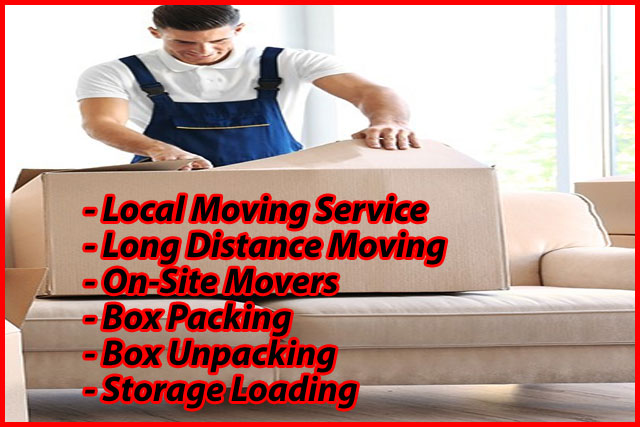 Packers And Movers Noida Sector 156